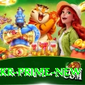 betpkr Prime New